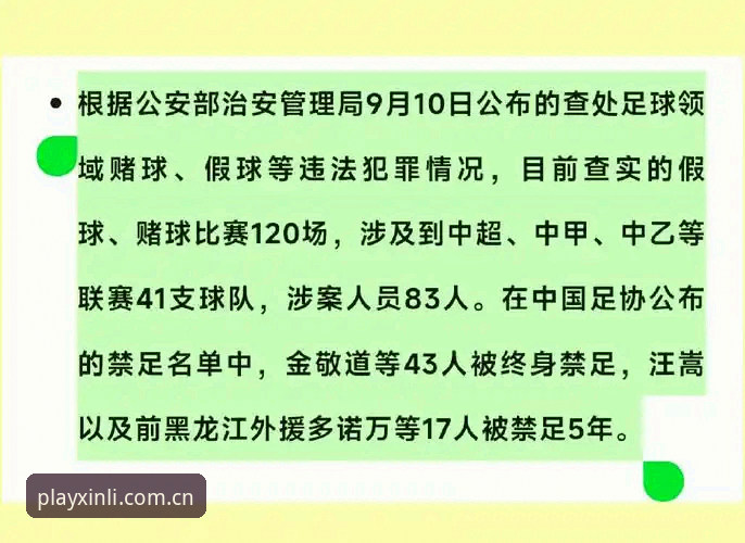 中国足协第三批禁足名单深度解读指南：17人终身禁赛背后的行业警示
