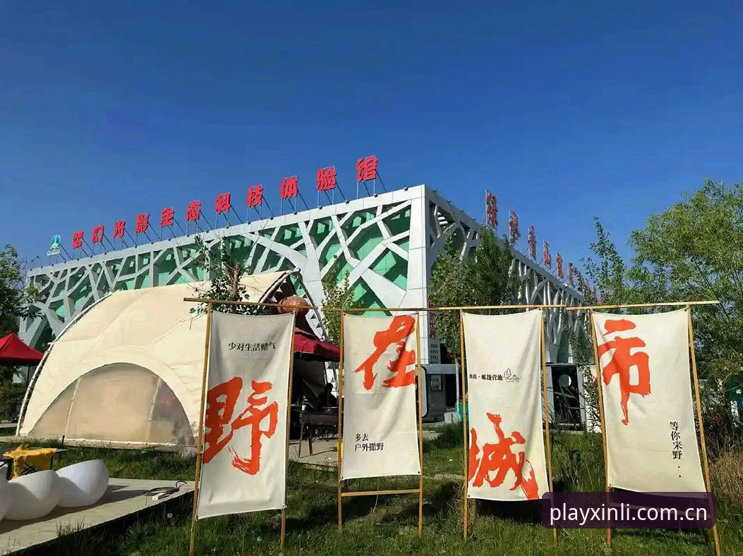 新利体育平台沉浸式娱乐功能全面评测：从下载到实战的完整体验报告